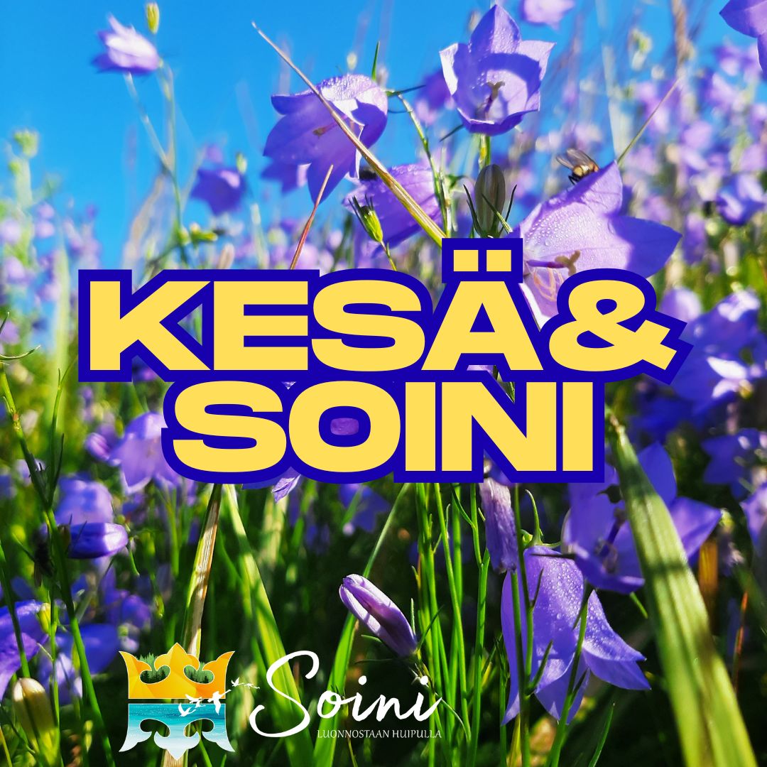 kesäsoini