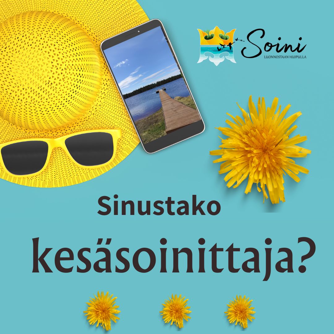 kesäsoinittaja1