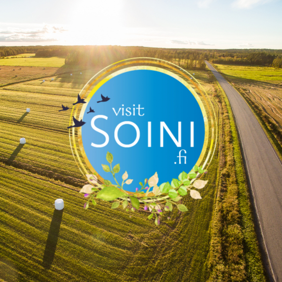 Visit Soini logo